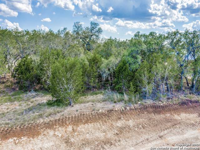 Bulverde, TX 78163,736 Sharp Springs