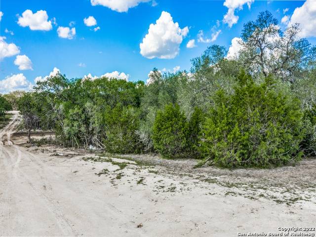 Bulverde, TX 78163,736 Sharp Springs