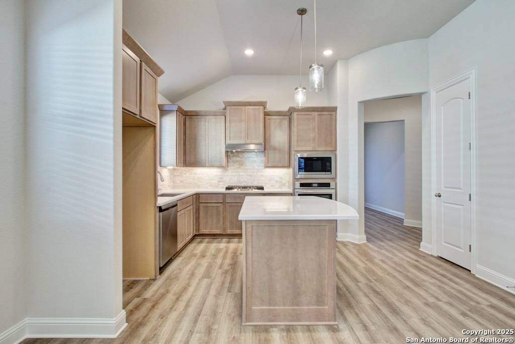 New Braunfels, TX 78132,733 Groudsel Avenue