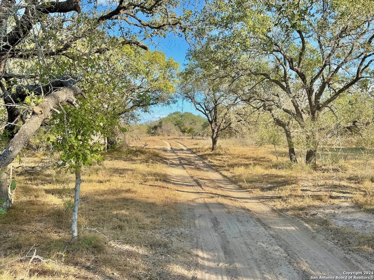 Devine, TX 78016,66.69 AC CR 777