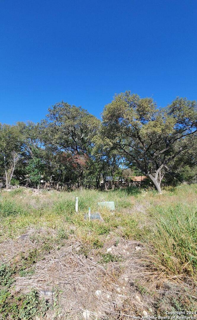 San Antonio, TX 78217,LOT 17 Swans Landing