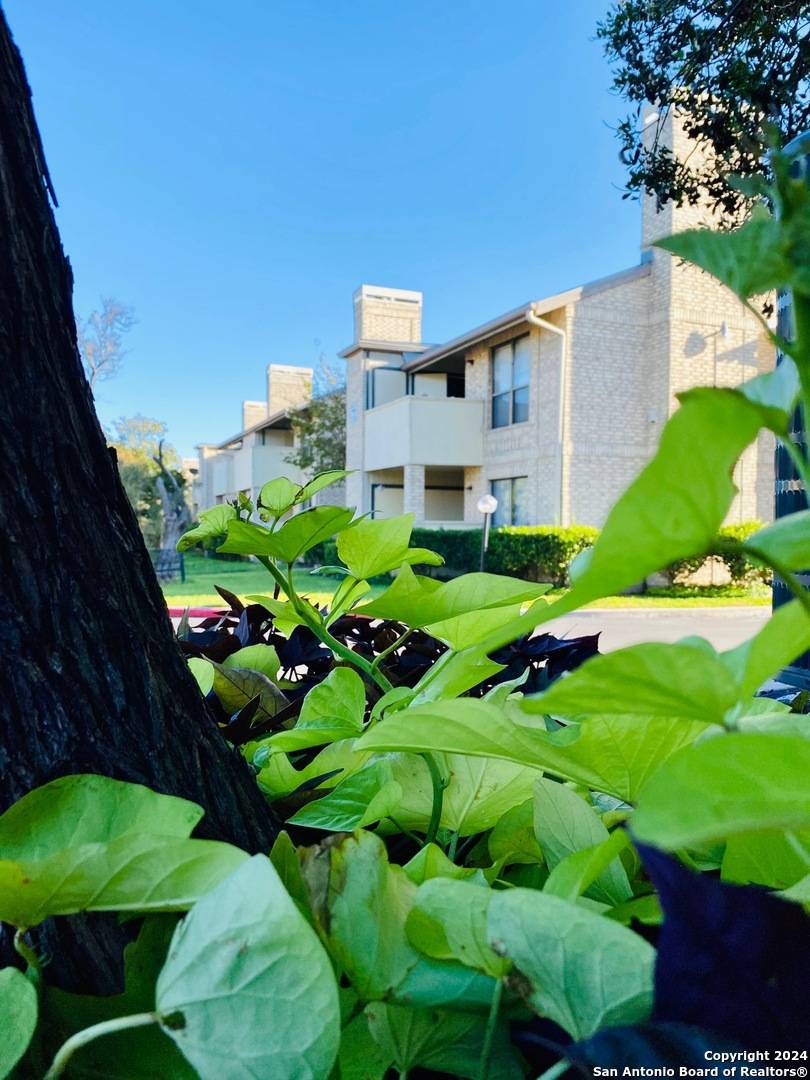 San Antonio, TX 78213-4811,11843 BRAESVIEW UNIT 810