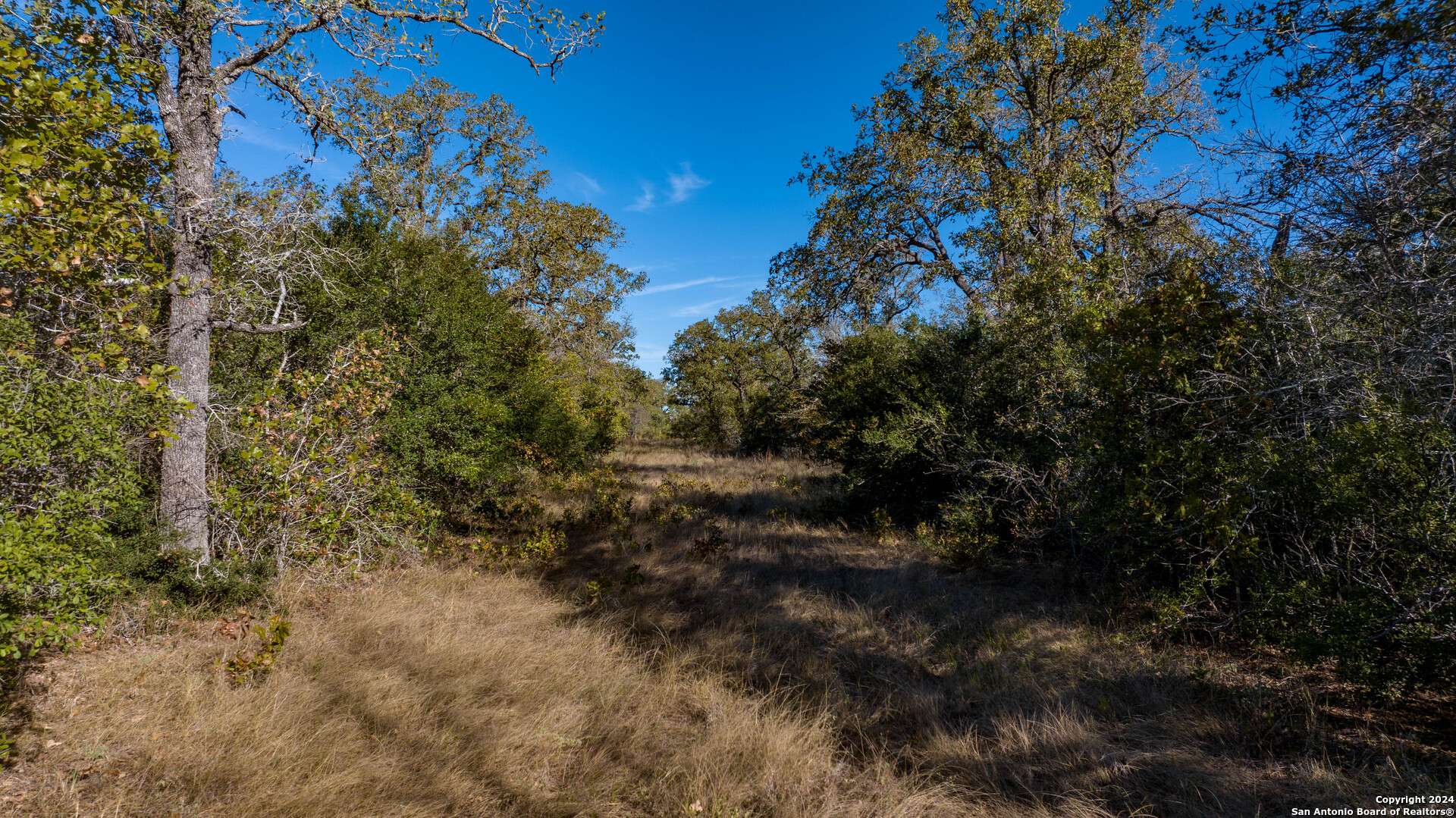 Seguin, TX 78155,000 Old Seguin Luling Rd