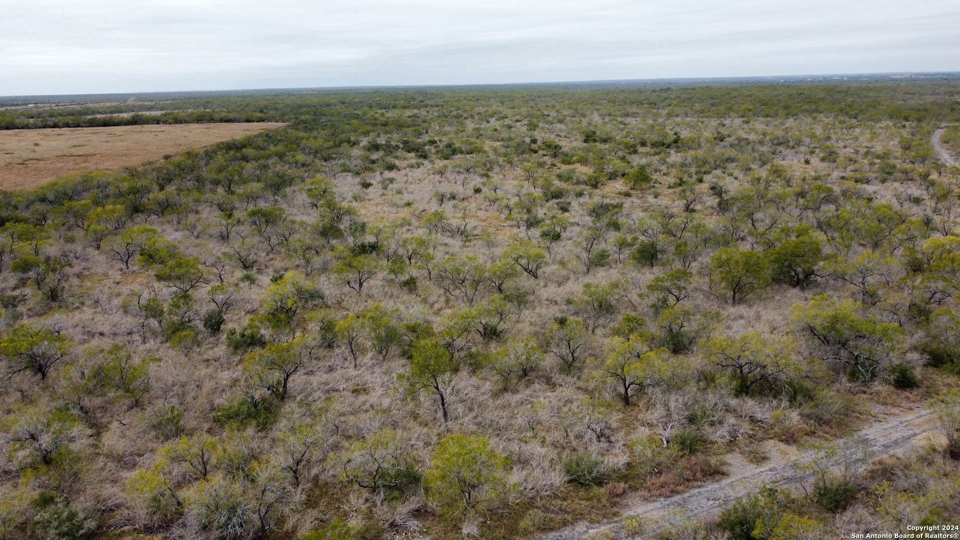 Christine, TX 78012,TBD CR 421