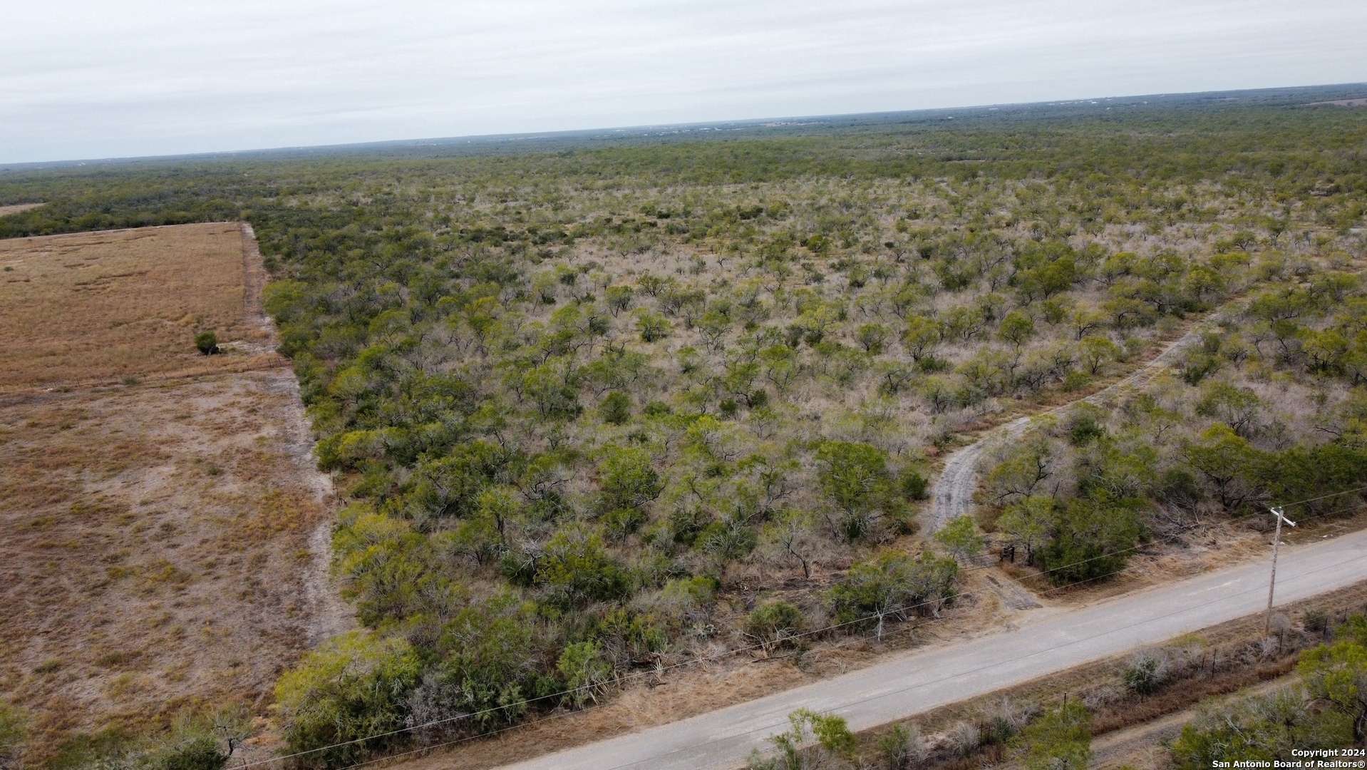 Christine, TX 78012,TBD CR 421