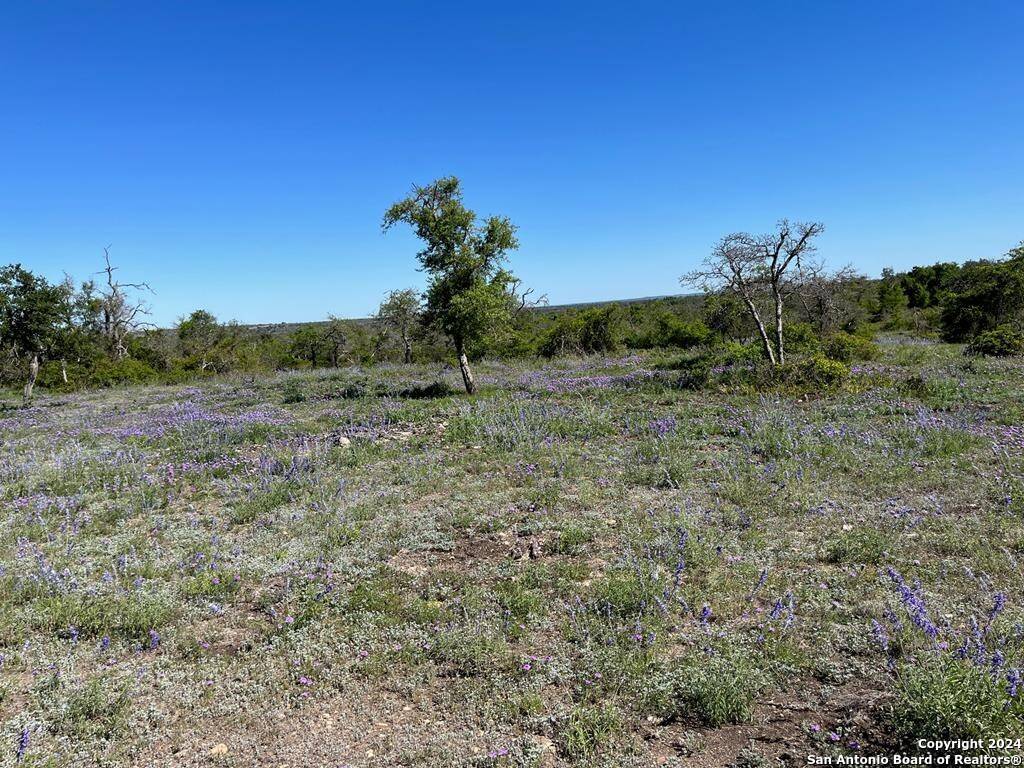 Harper, TX 78631,000 Sweet Wind