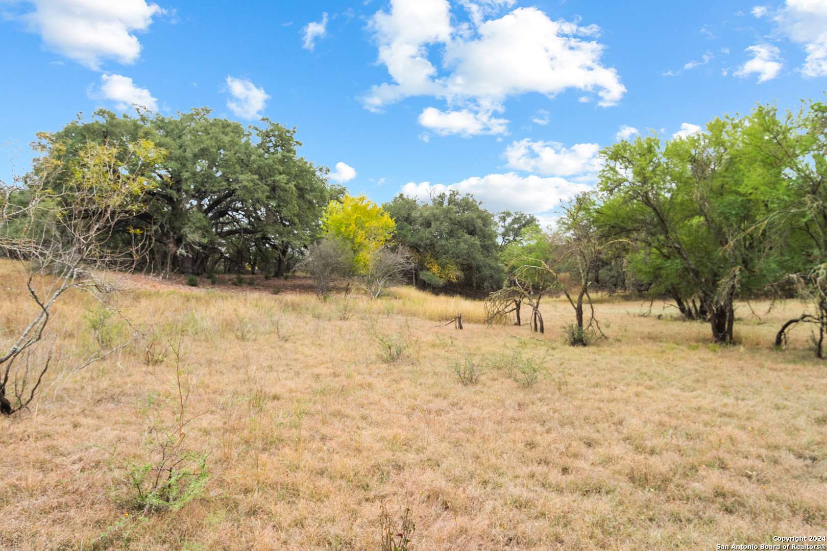 Dhanis, TX 78850,00 Antler Forest