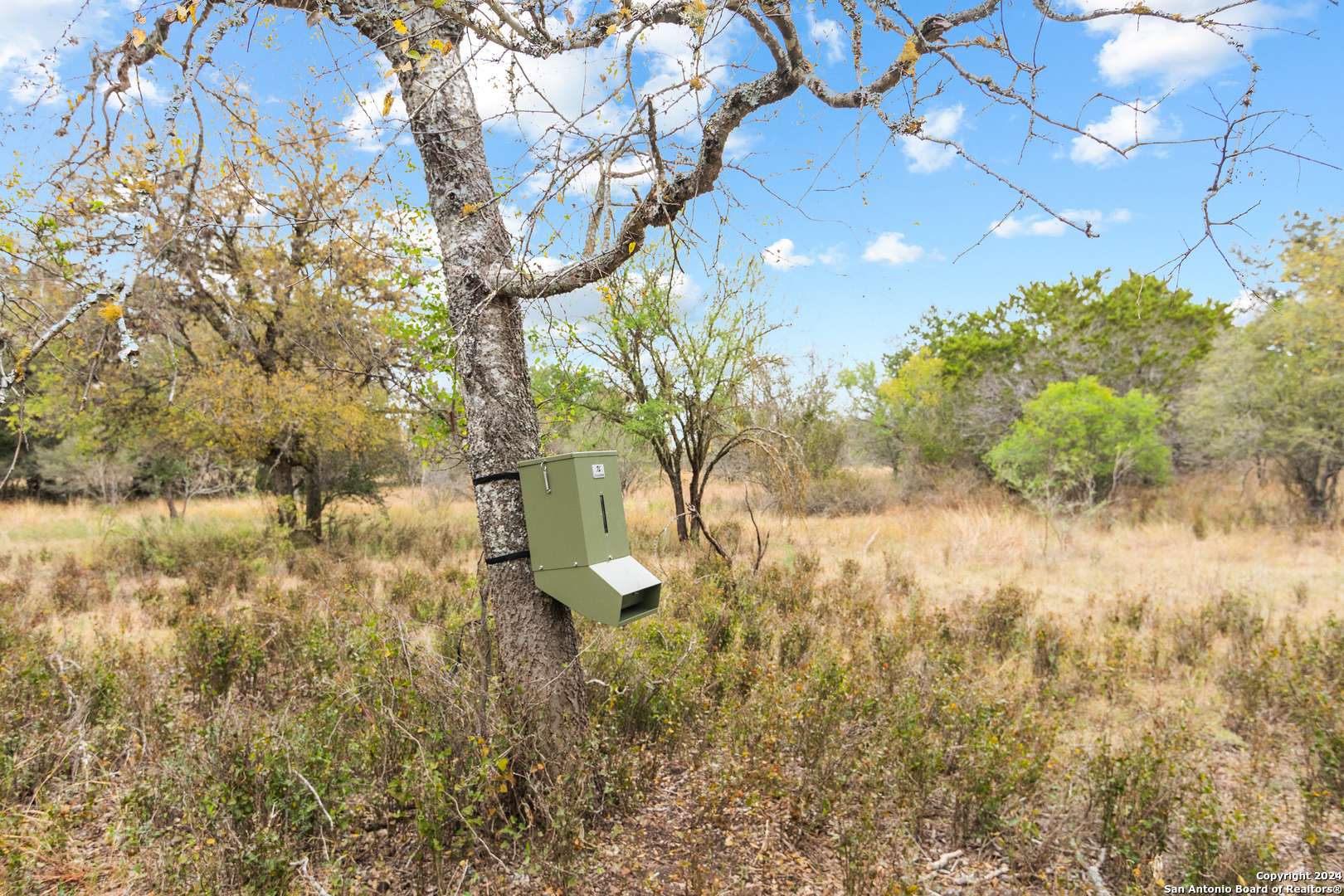 Dhanis, TX 78850,00 Antler Forest