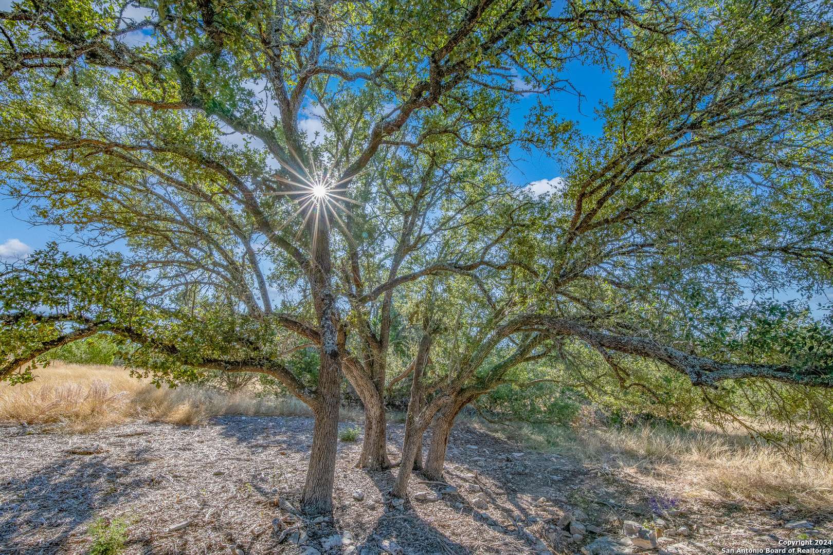 Kerrville, TX 78028,154 McVea Woods Rd