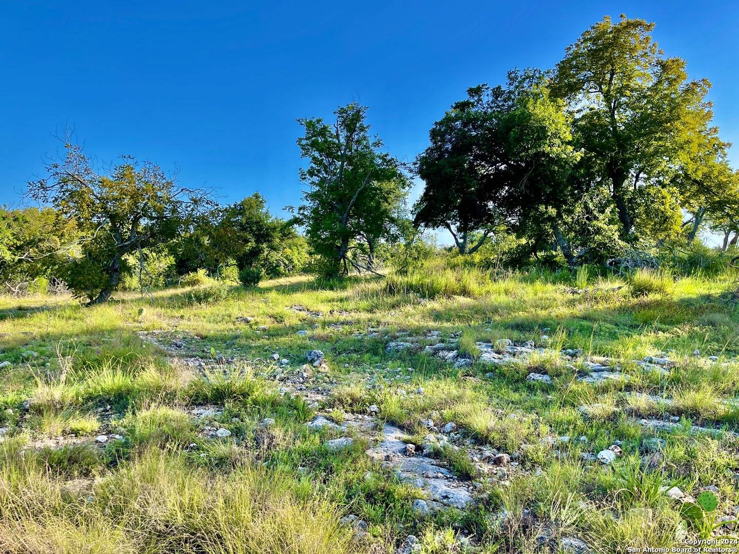 Fredericksburg, TX 78624,000 Canyons Dr.