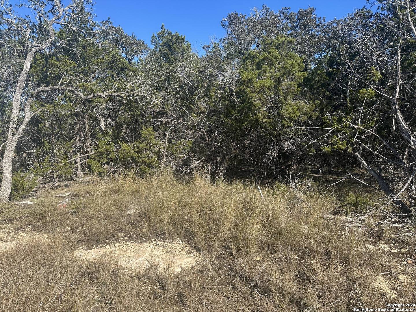 Spring Branch, TX 78070,350 RESTLESS WIND