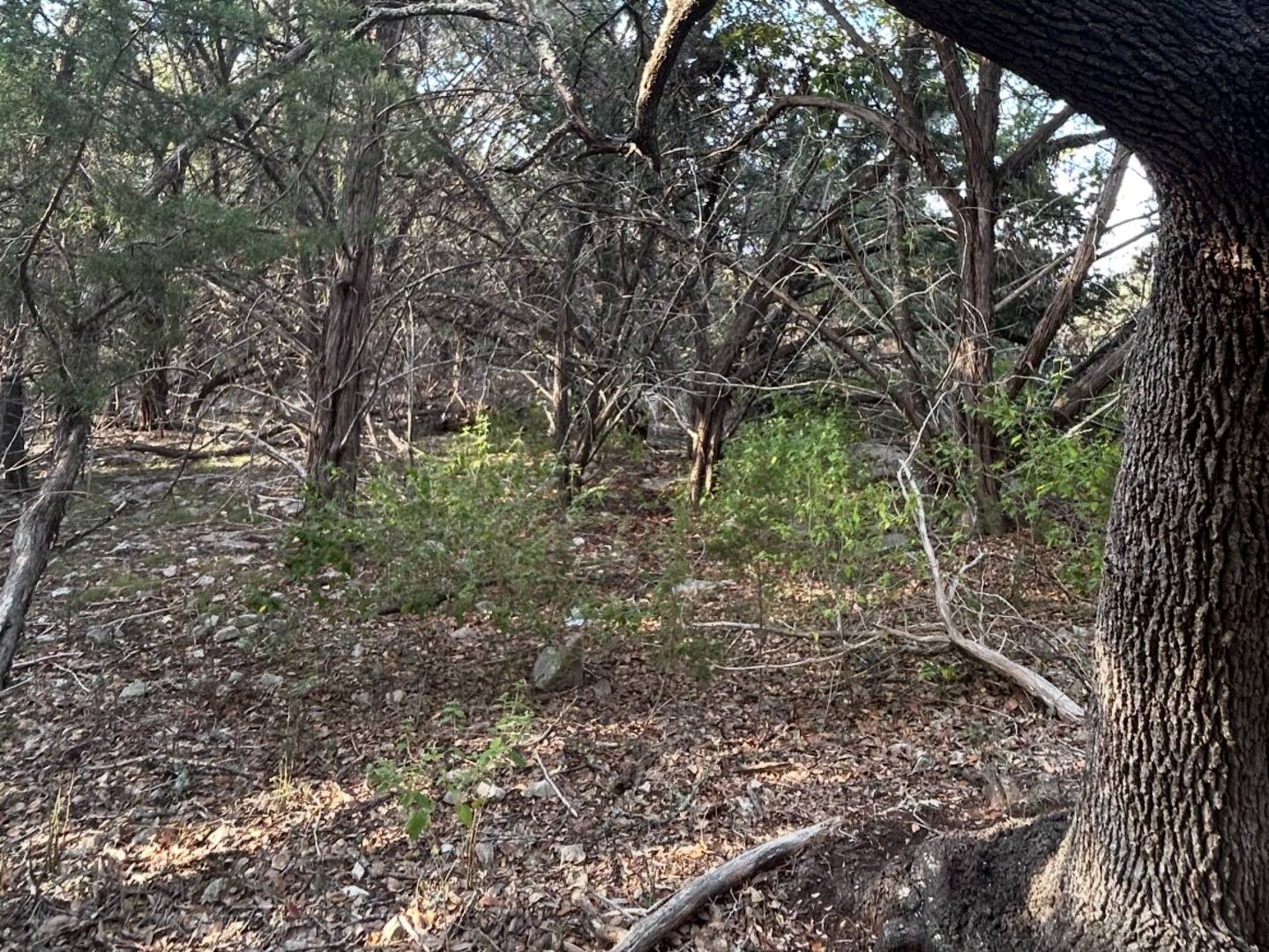 Canyon Lake, TX 78133,1107 Whispering Hills