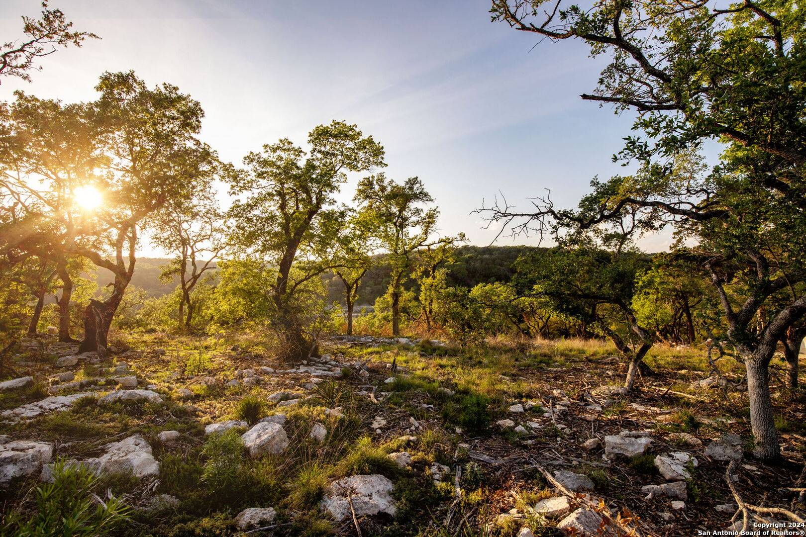 New Braunfels, TX 78132,1333 powder ridge