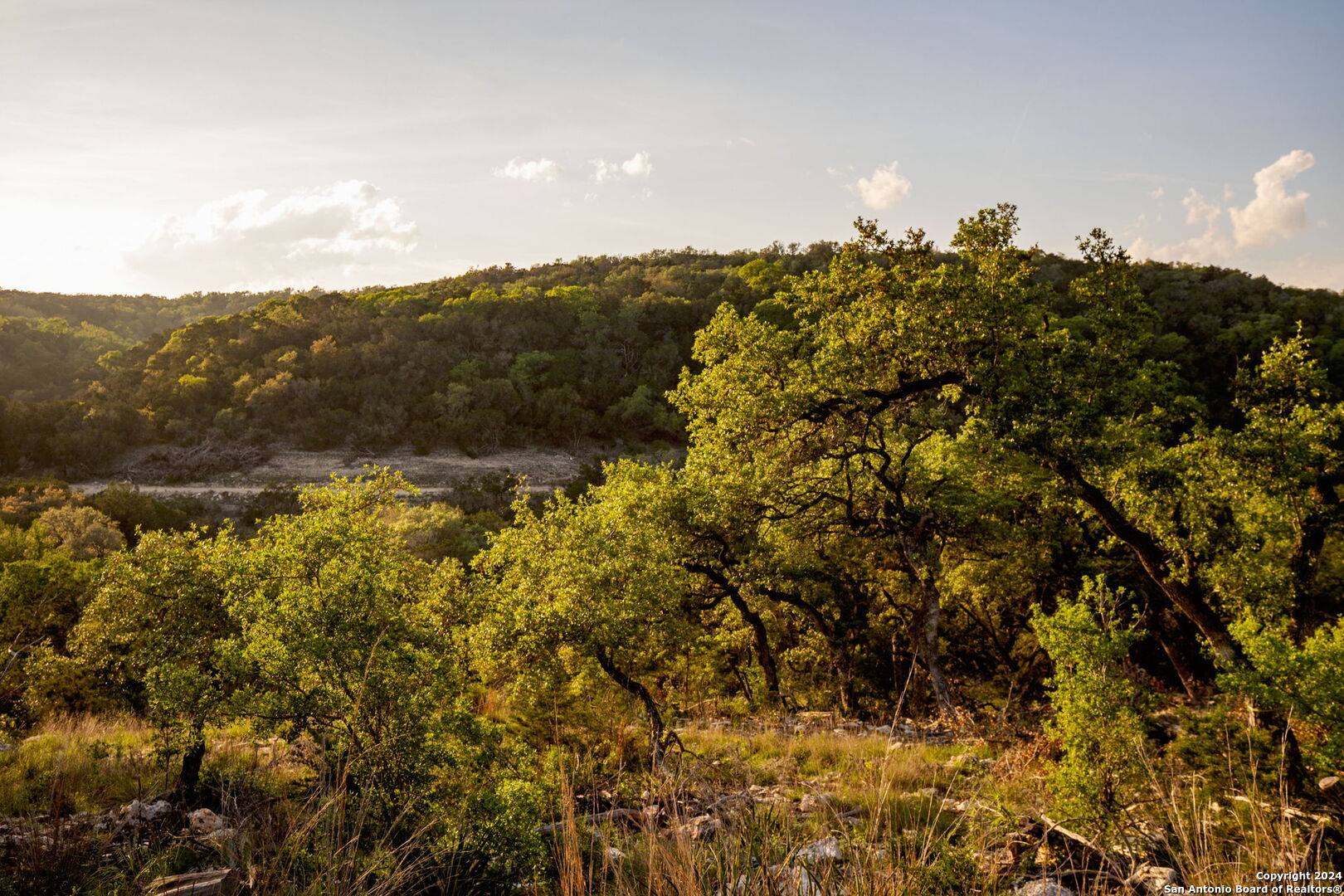 New Braunfels, TX 78132,1333 powder ridge