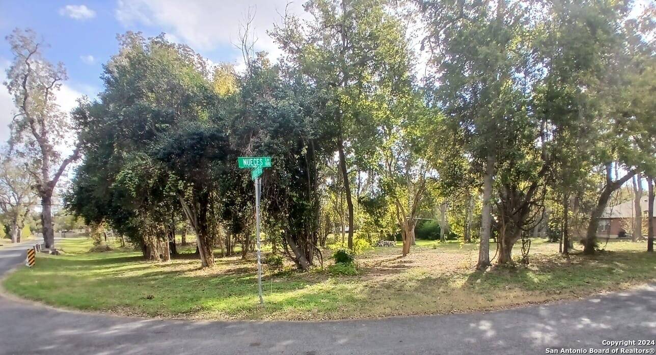 Seguin, TX 78155,217 GUADALUPE RIVER DR