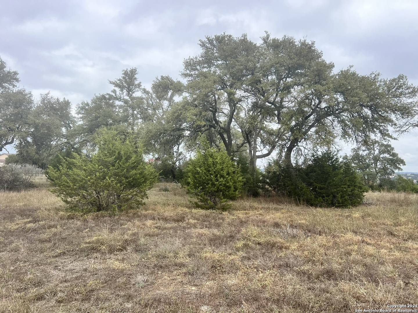 Spring Branch, TX 78070,209 Starling Pass