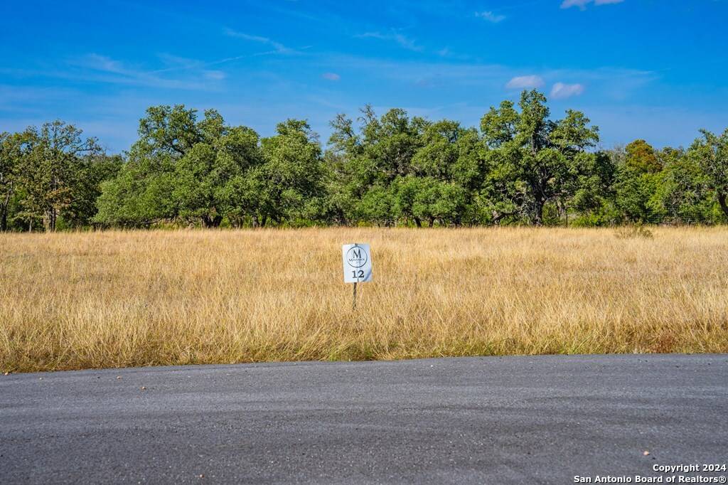 Harper, TX 78631,LOT 12 Turn Out Lane