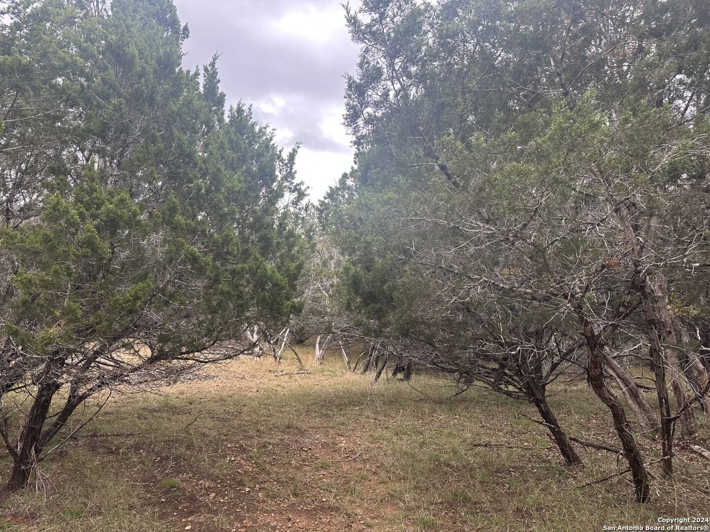 Pipe Creek, TX 78063,LOTS 1-3 Indian Trail