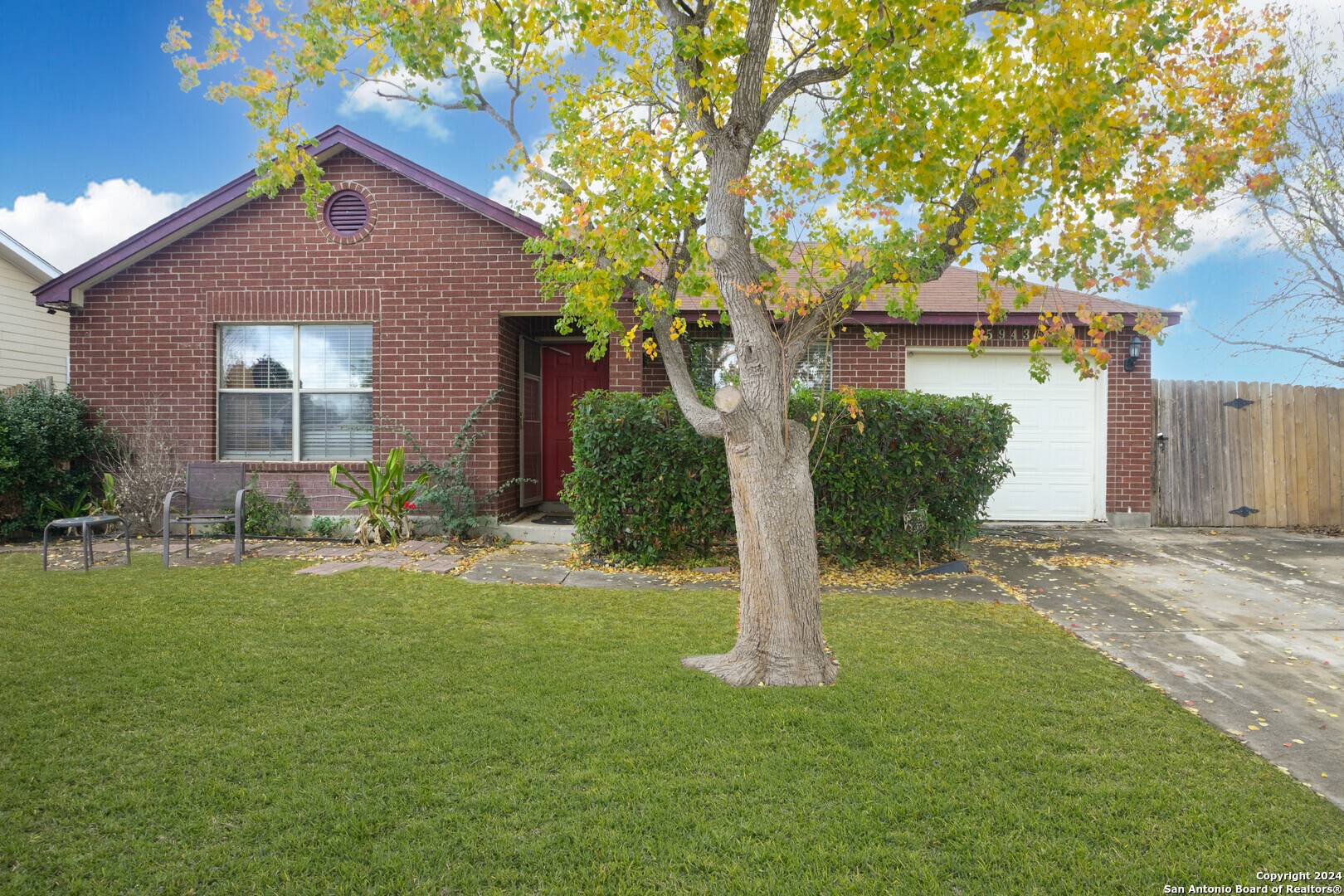 San Antonio, TX 78220,5943 Tree View