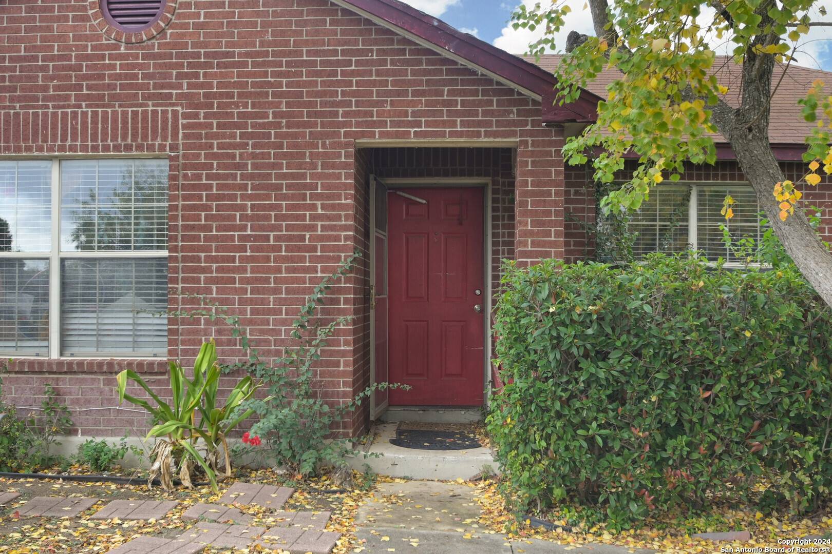 San Antonio, TX 78220,5943 Tree View
