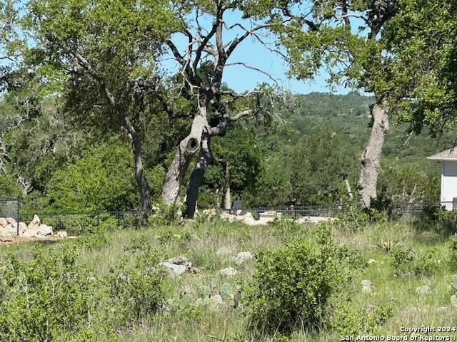 New Braunfels, TX 78132,1506 (LOT 1467) Bolognese