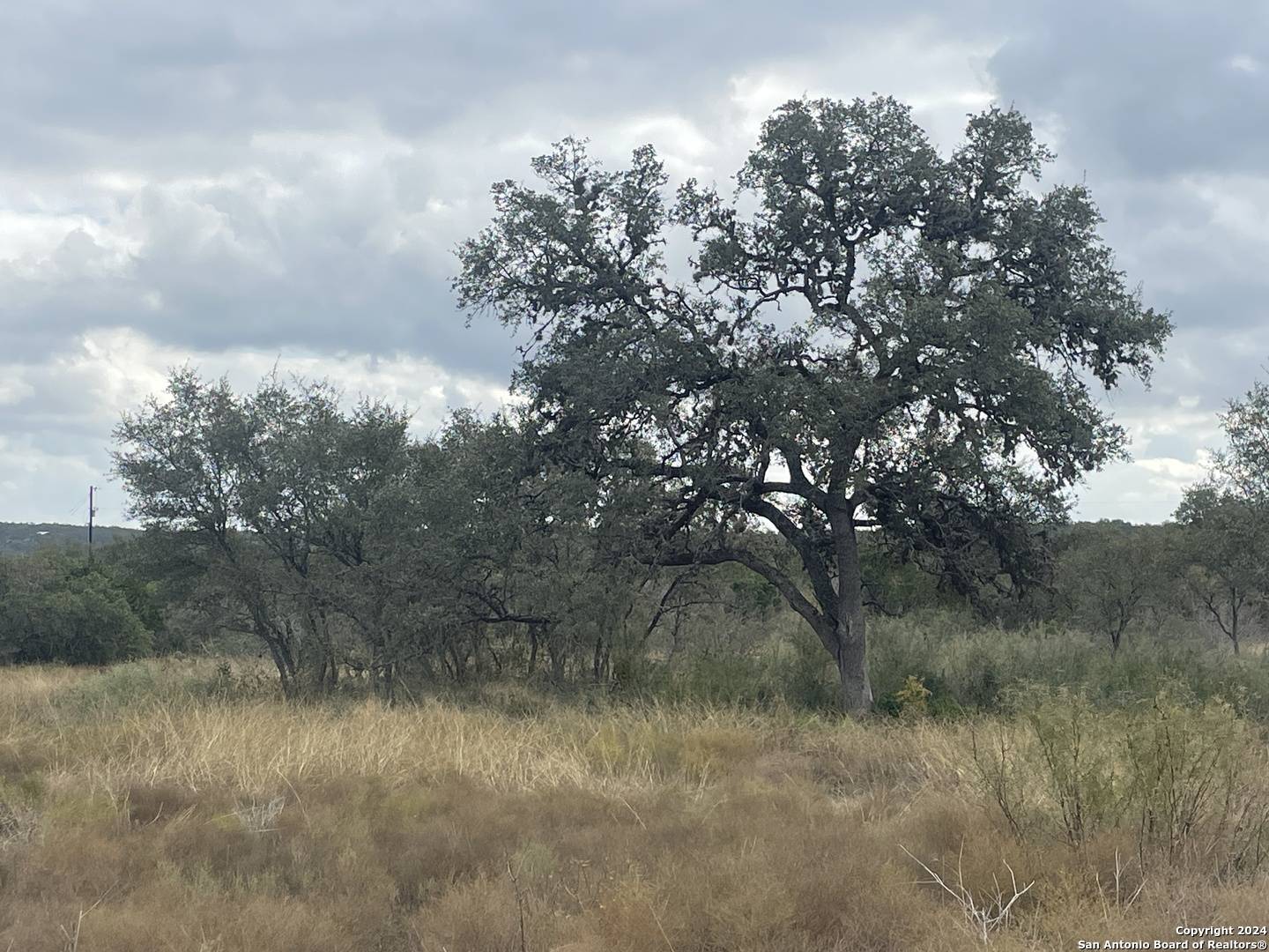 Hondo, TX 78861,TBD Raleigh Oaks