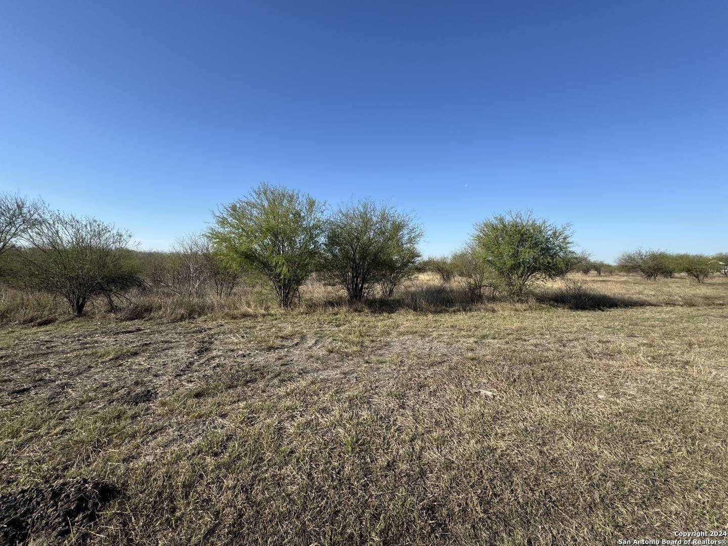 Marion, TX 78124,1240 SANTA CLARA RD