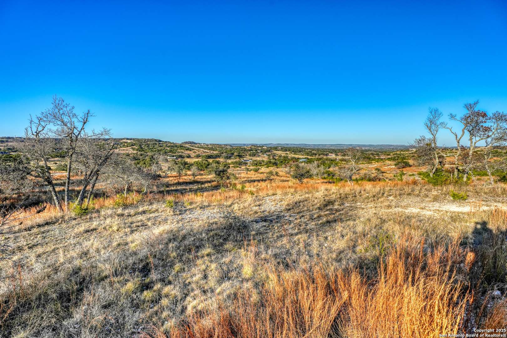 Blanco, TX 78606,136 Falling Oak Dr