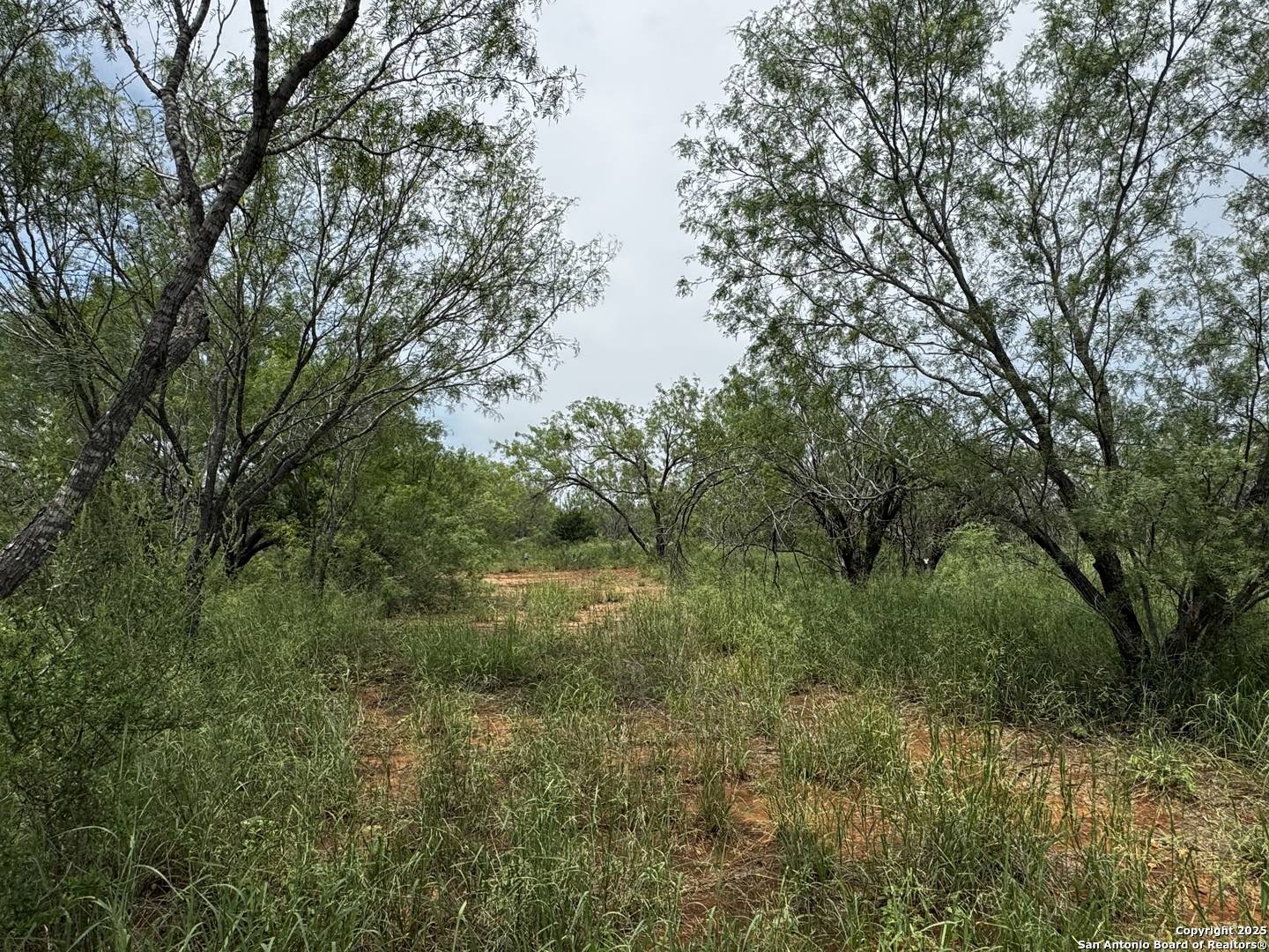 Moore, TX 78057,TBD FM 462