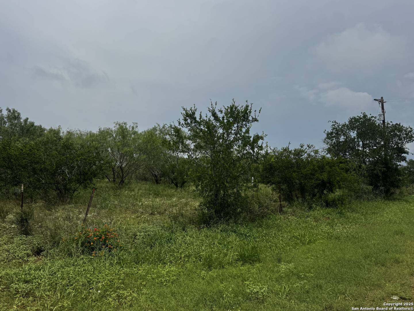 Moore, TX 78057,TBD FM 462