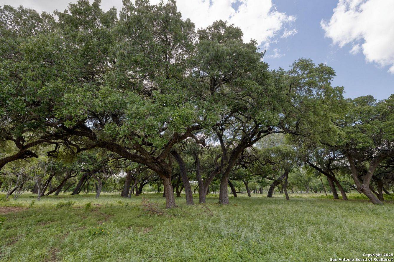 Uvalde, TX 78801,32378 State Hwy 55