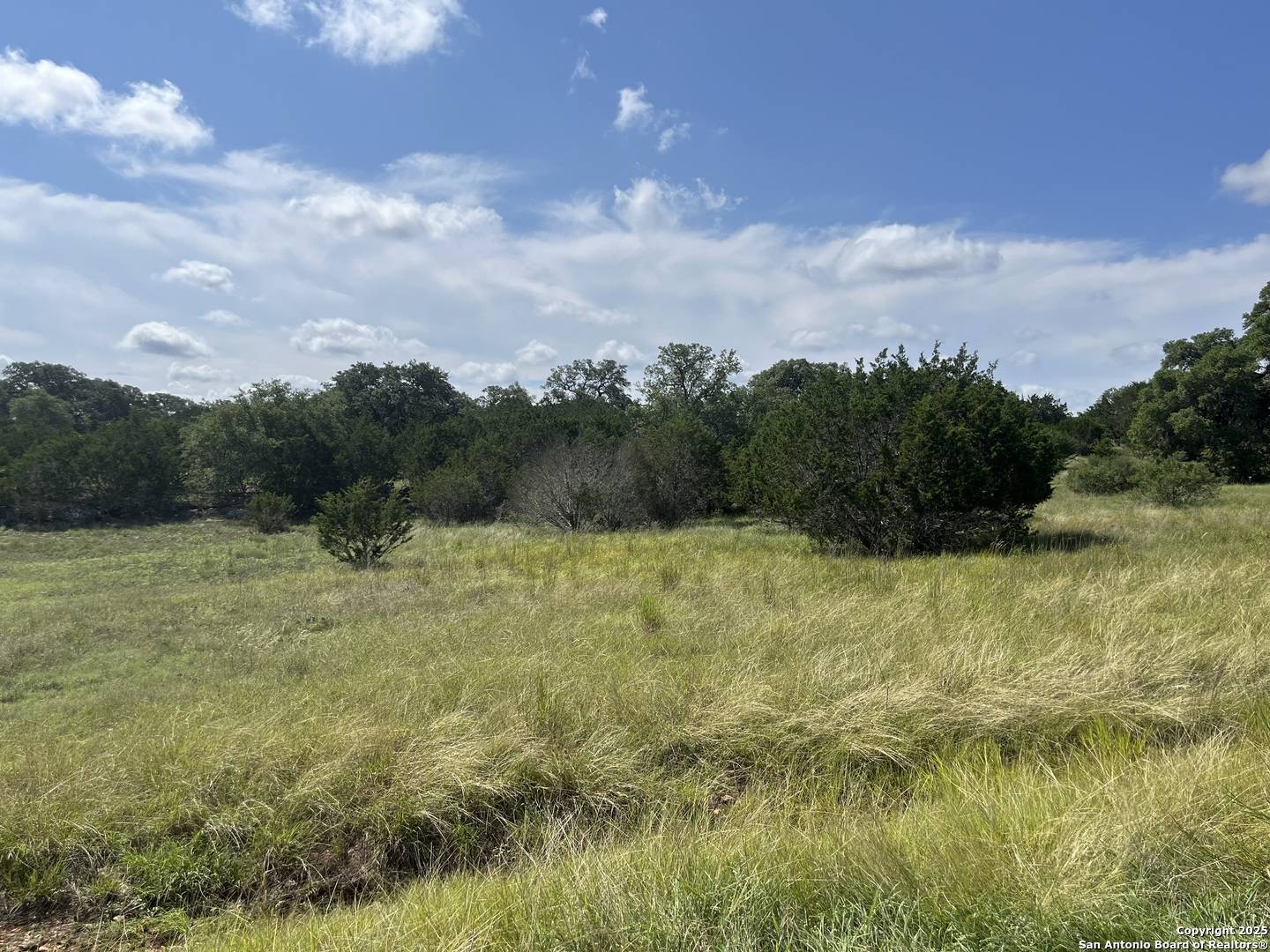 Bandera, TX 78003,137 Palomino Springs