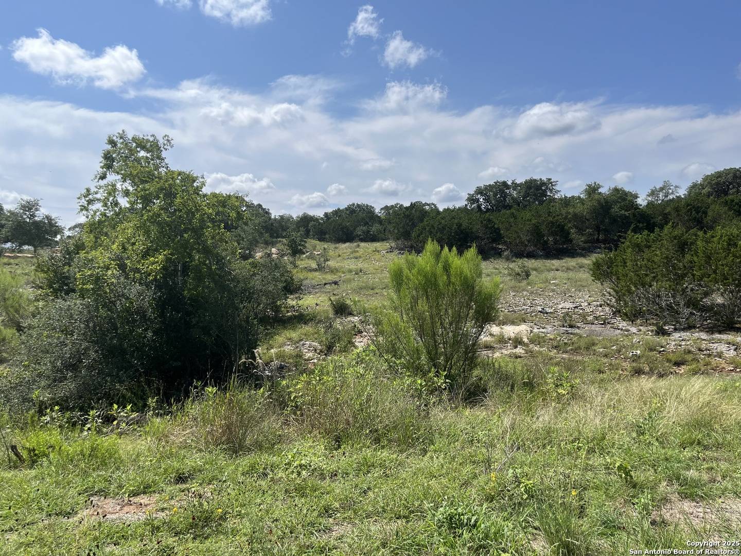 Bandera, TX 78003,137 Palomino Springs