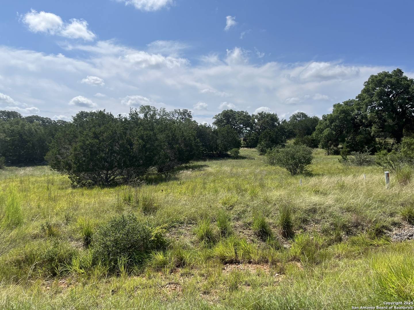 Bandera, TX 78003,137 Palomino Springs