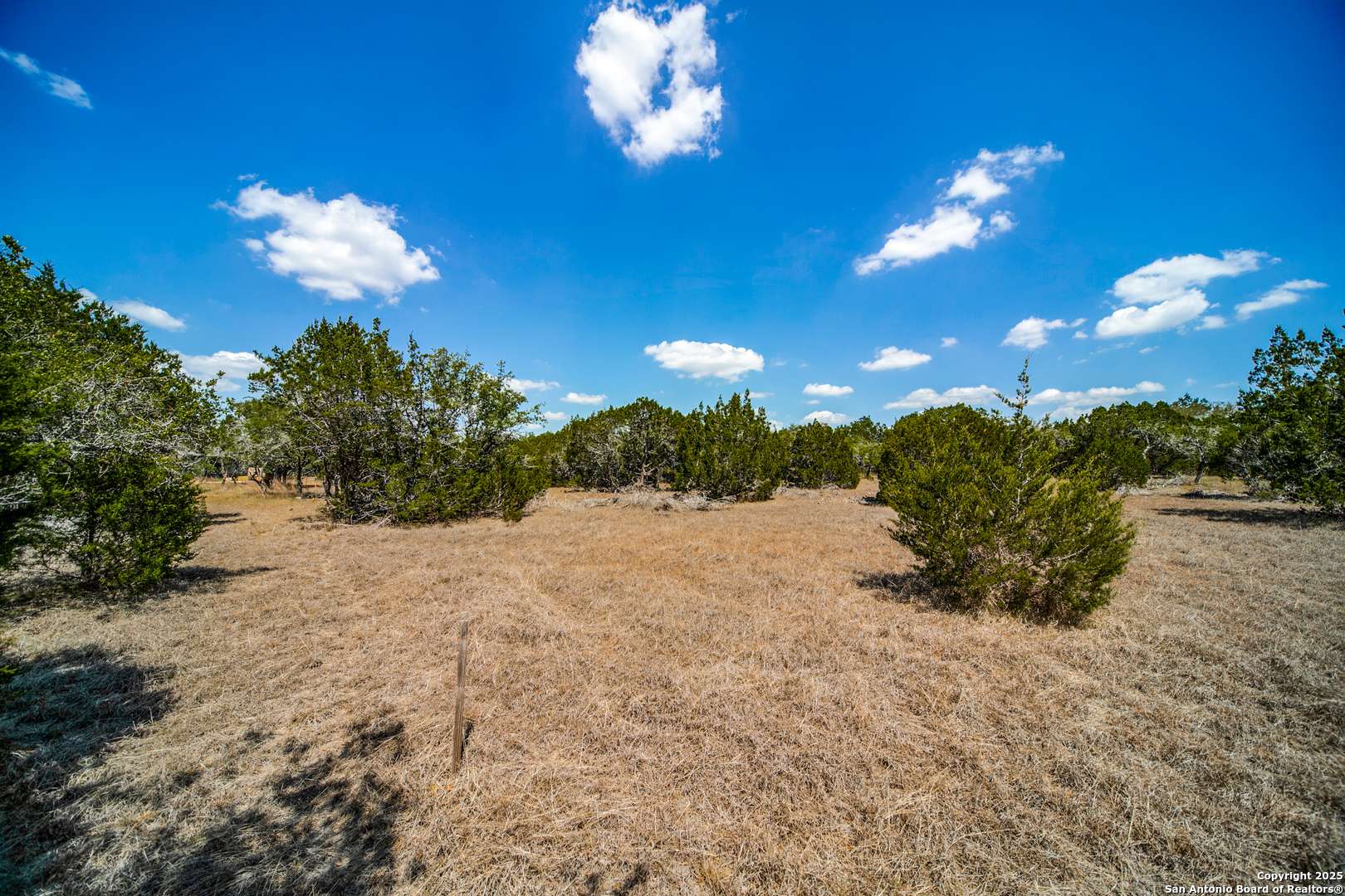 Bulverde, TX 78163,972 scarlett ridge