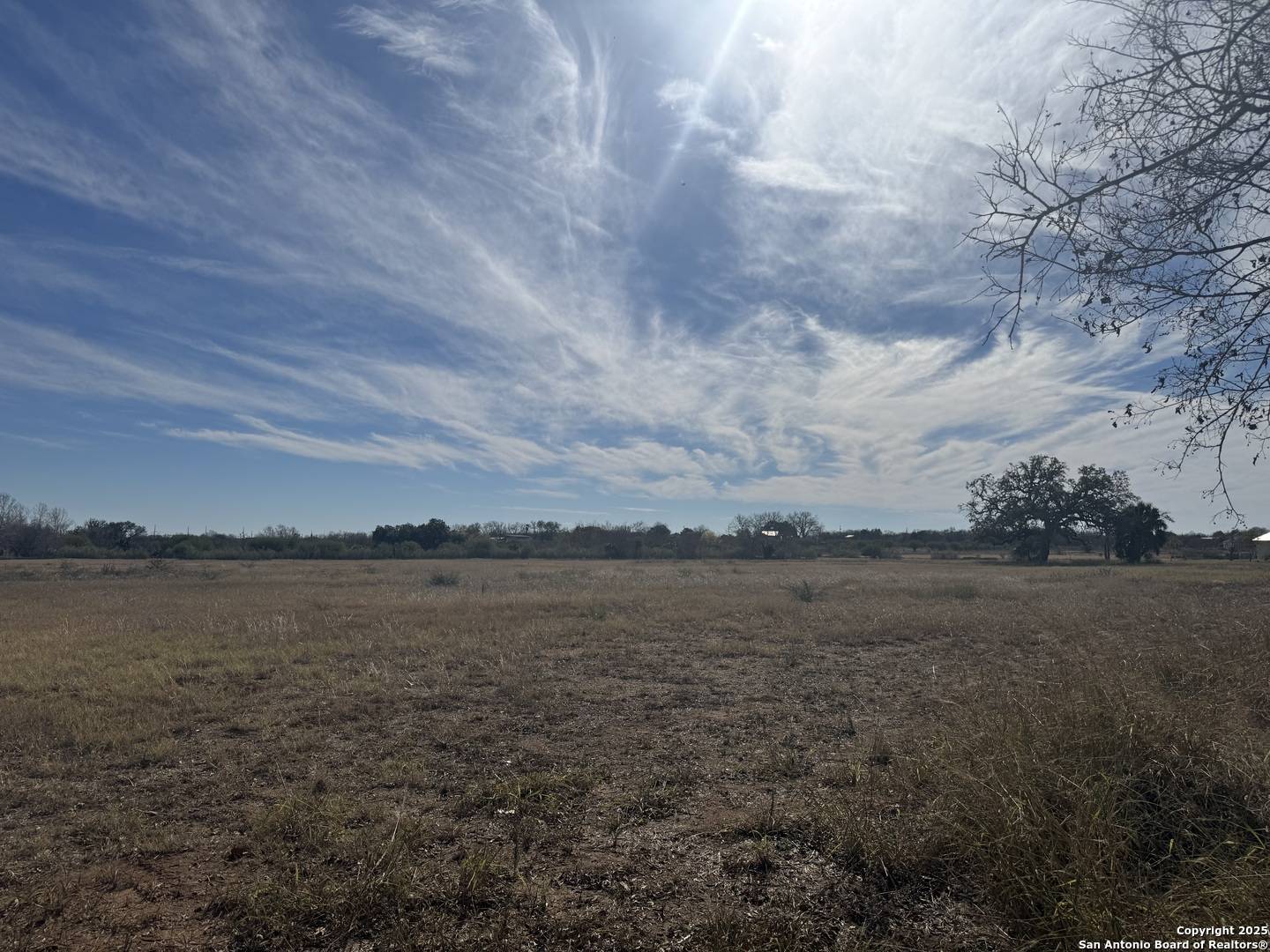 Atascosa, TX 78002,00 WISDOM RD. Lot 19