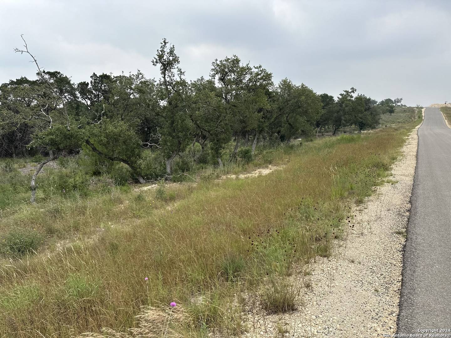 Bulverde, TX 78163,1073 earle oak