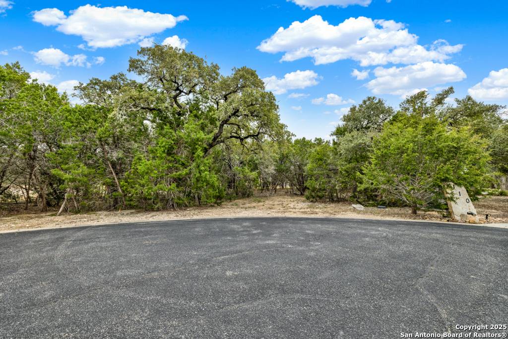 Canyon Lake, TX 78133,116 SINGLE TREE CT