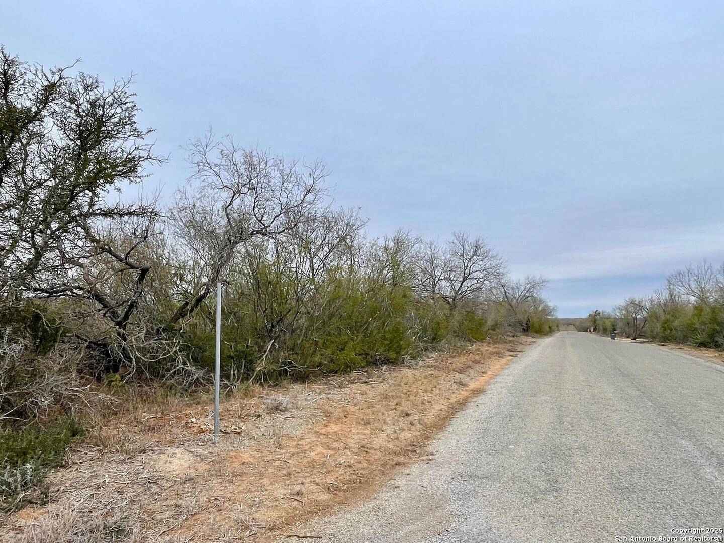 Moore, TX 78057,LOT 32 County Road 1643