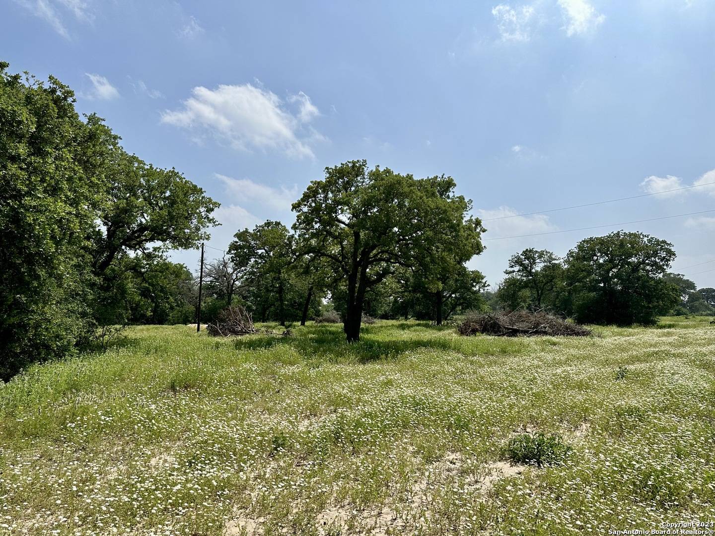 Luling, TX 78648,TBD Sandy Pine Road