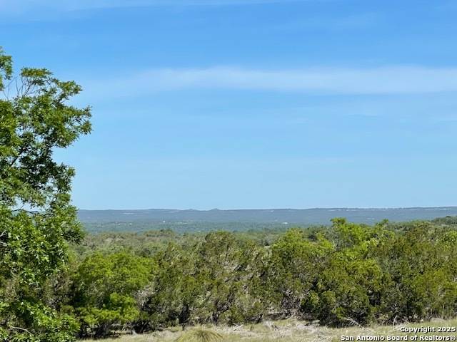 Johnson City, TX 78636,3788 Byrd Ranch Rd