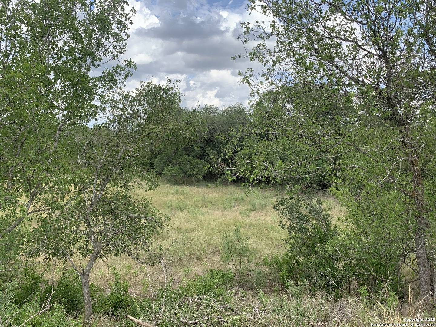 Castroville, TX 78009,LOT-1 River Bluff