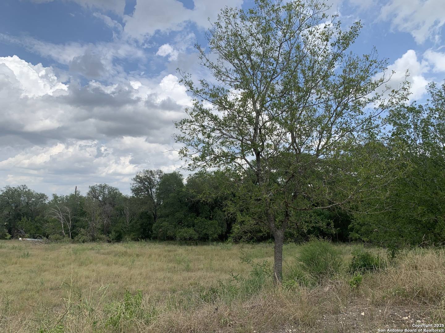 Castroville, TX 78009,LOT-2 River Bluff