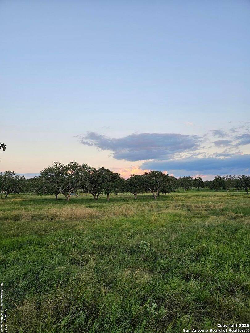 Fredericksburg, TX 78624,16 Silas Trl