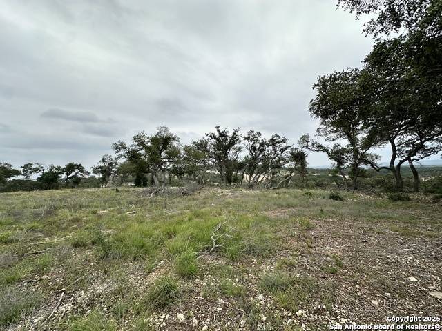 Bulverde, TX 78163,675 Butler Oaks