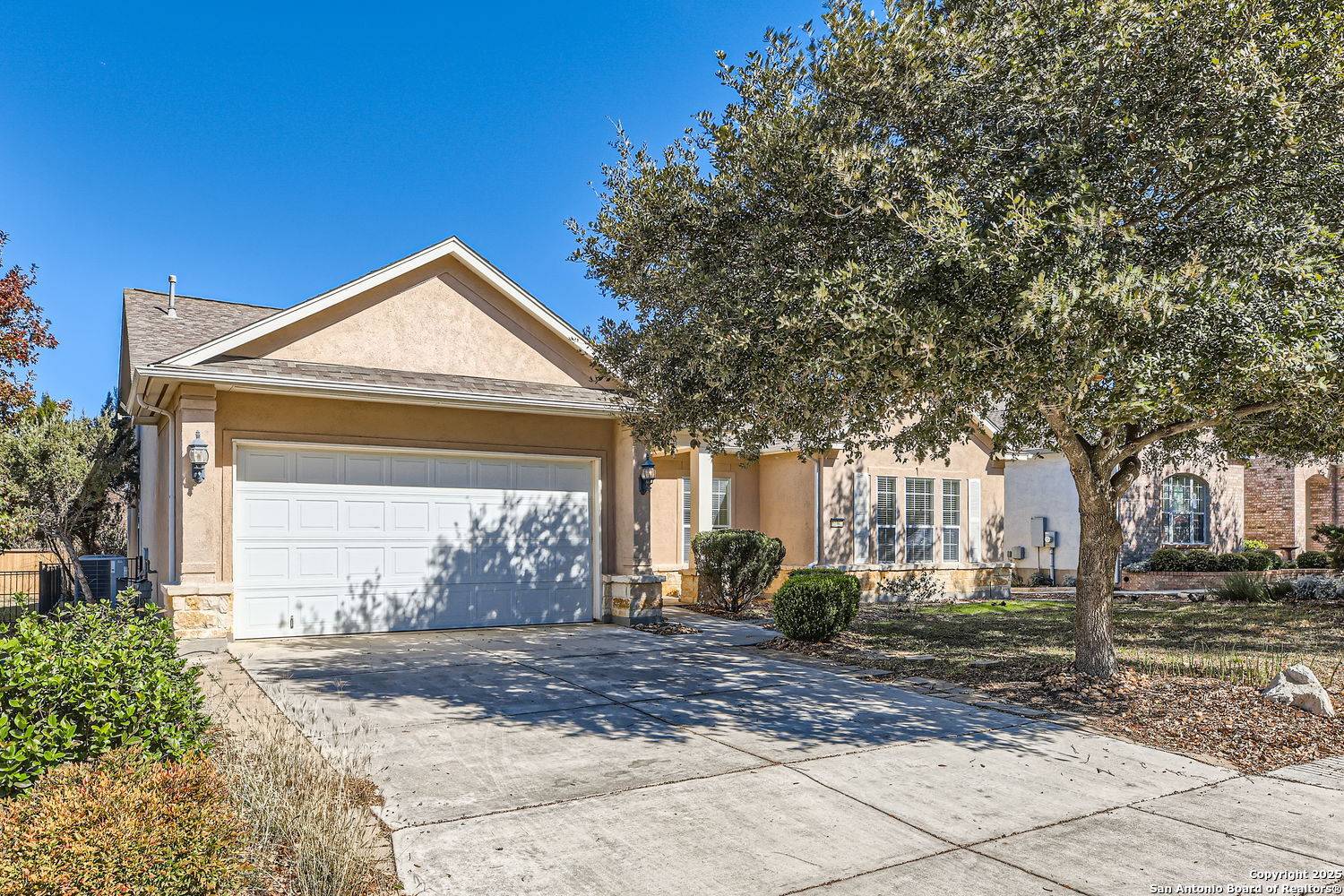San Antonio, TX 78253,12742 Texas Thistle