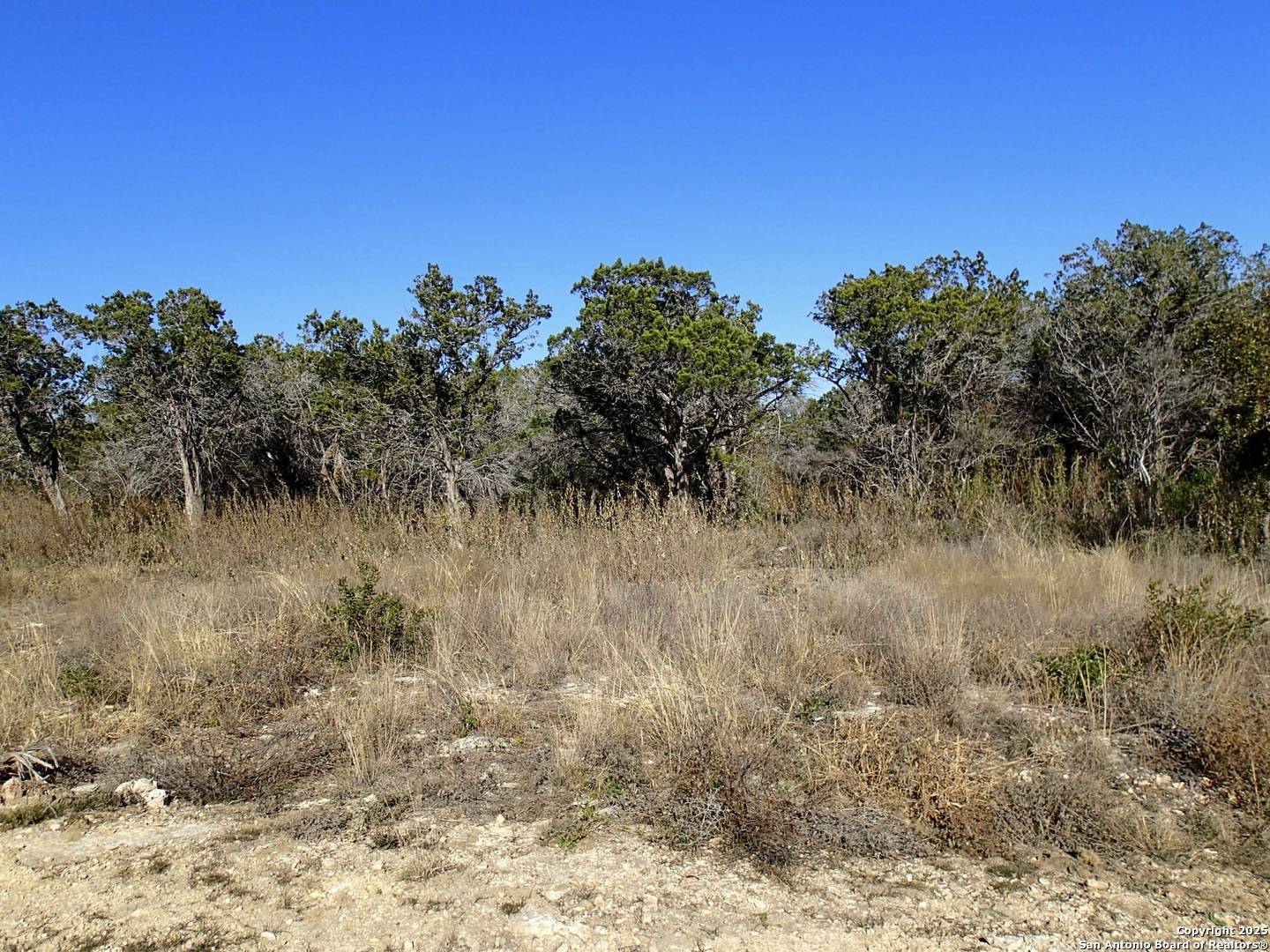 Hondo, TX 78861,LOT 119 Grand Oaks