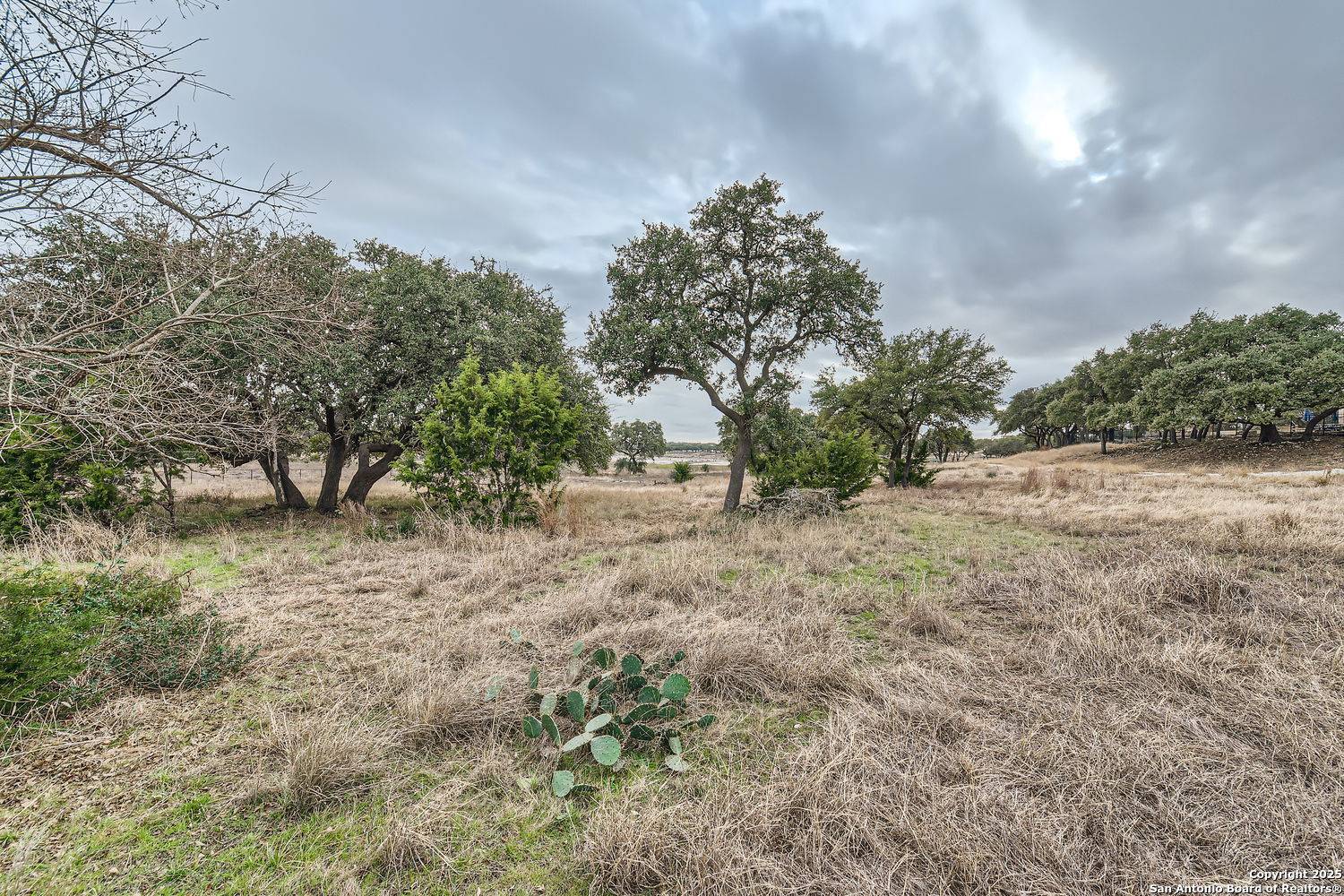 Spring Branch, TX 78070,161 Mystic Shores