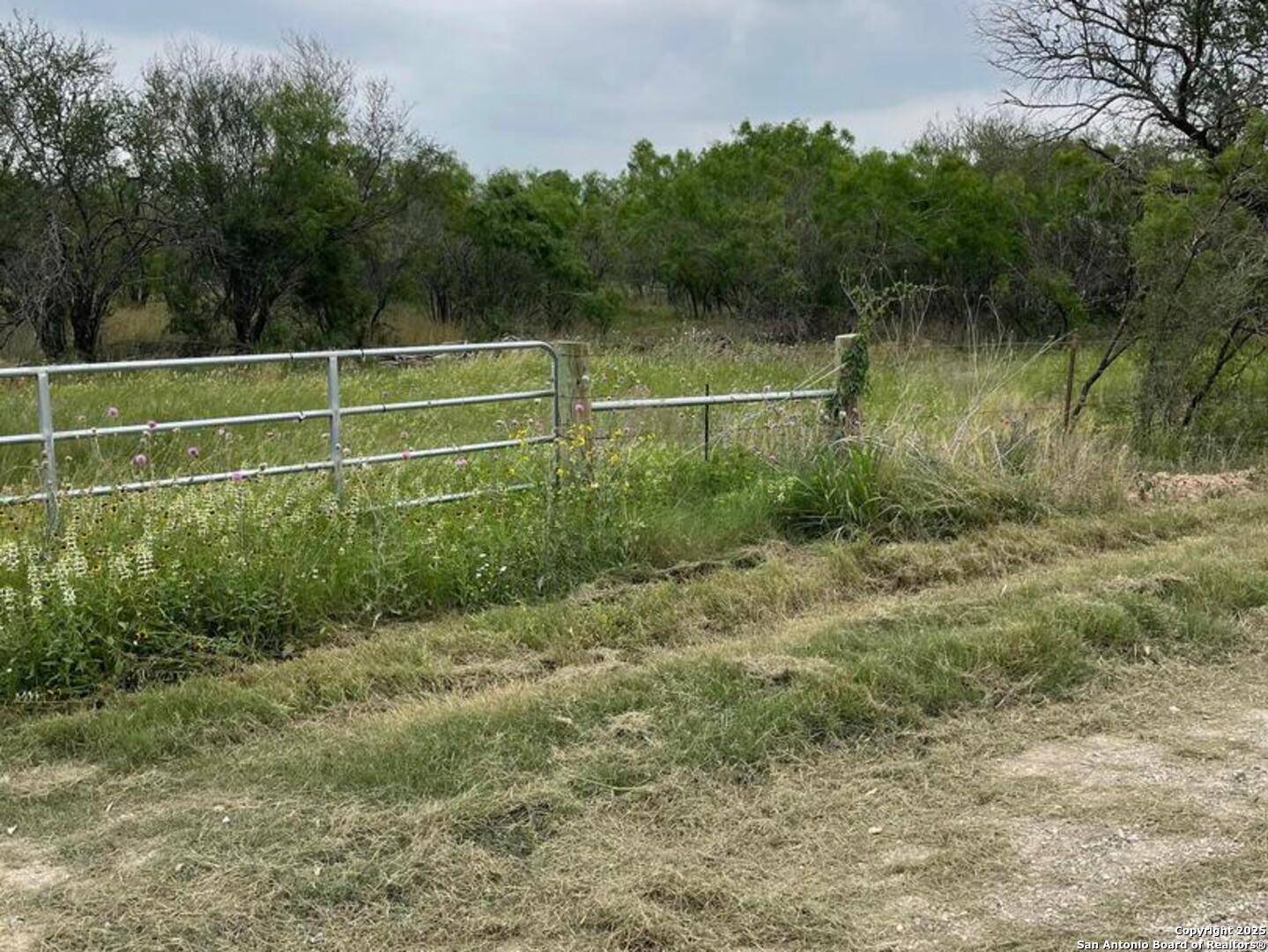 Jourdanton, TX 78026,CR 327 Lot 8