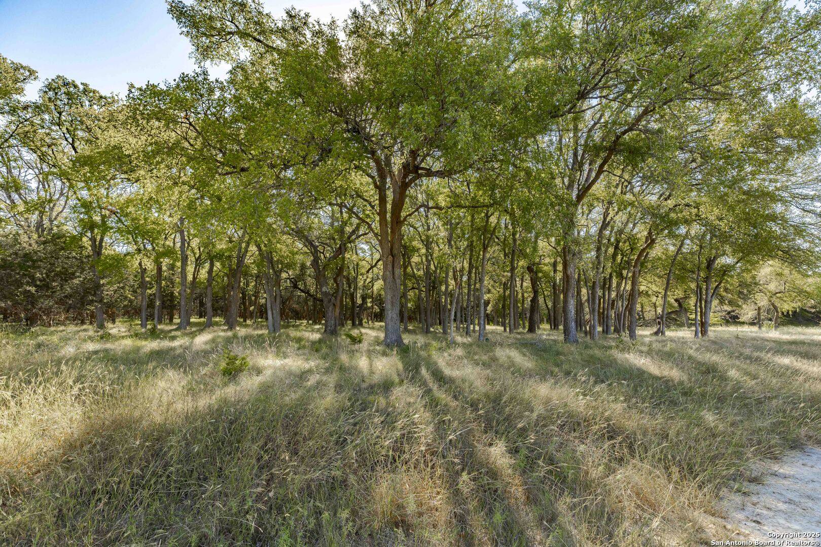 Camp Verde, TX 78010,199 Palisades